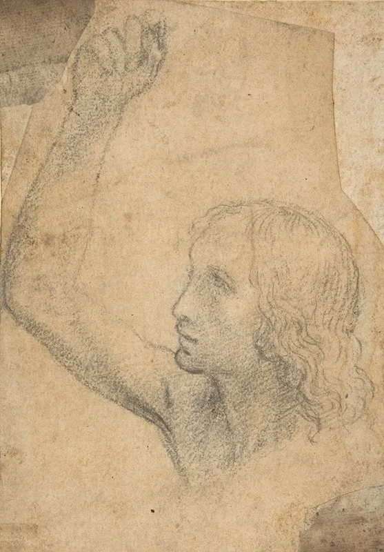 Youth With Right Arm Raised In A Shoulder Length Portrayal Preparatory Study For St Sebastian