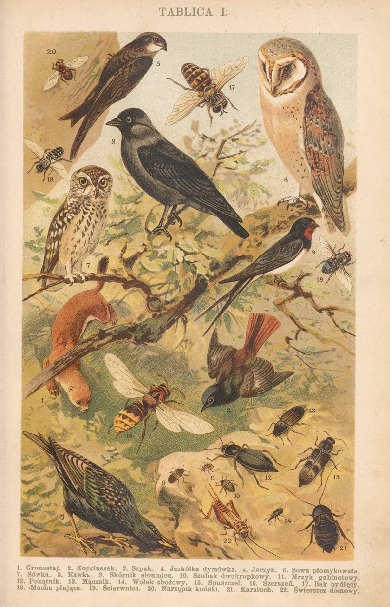 Z Naszej Przyrody Pl 01