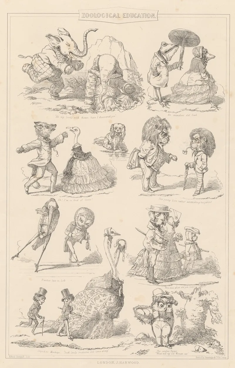 Zoological Education 2