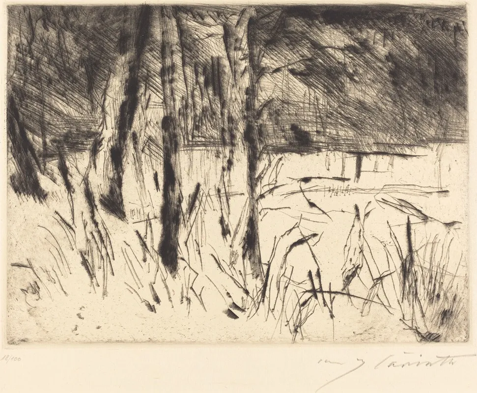 Zoological Garden Tiergarten