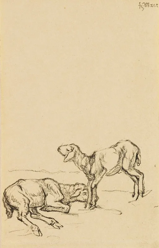 Zwei Lammer