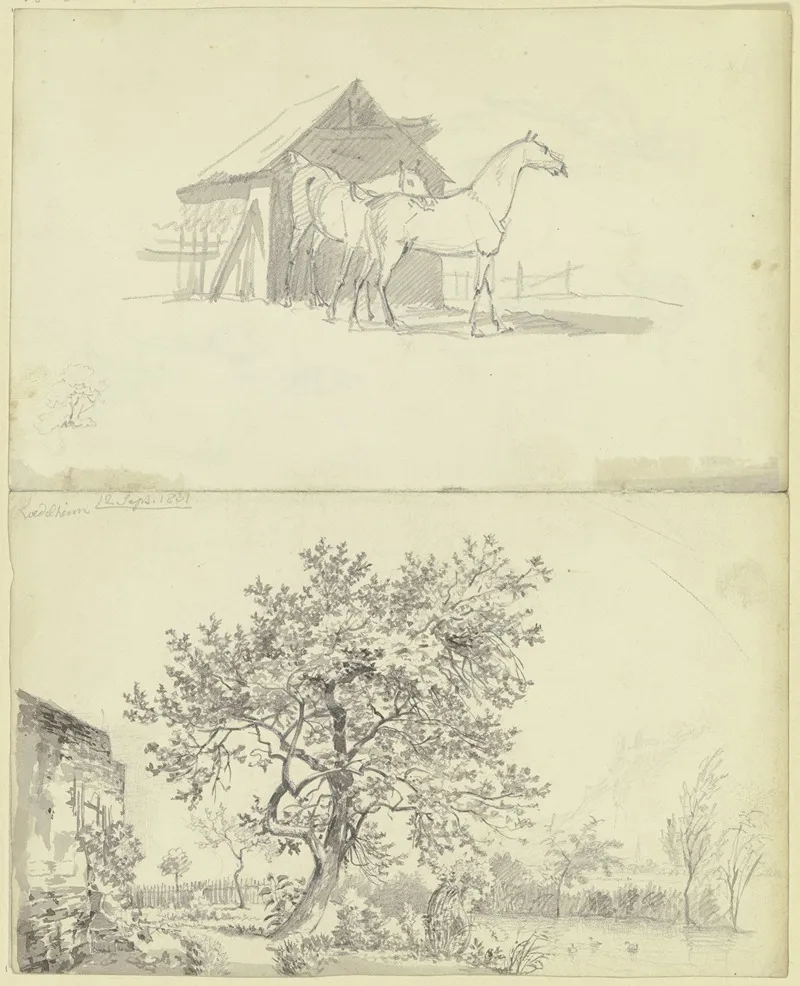 Zwei Pferde Vor Einem Stall Garten An Einem Wasserlauf Bei Rodelheim by Carl Morgenstern - Canvas Print